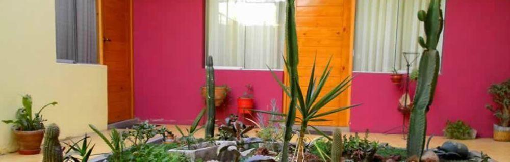 ארקוויפה Hotel Mirasol מראה חיצוני תמונה